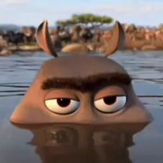 Hippos.OG 🦛🦛🦛