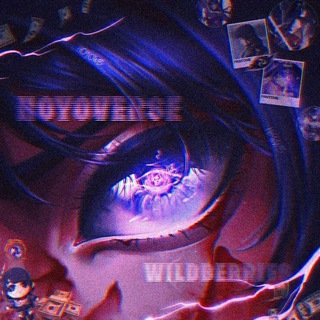 HoYoverse Wildberries