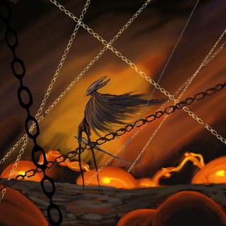 Hollow Knight Filling