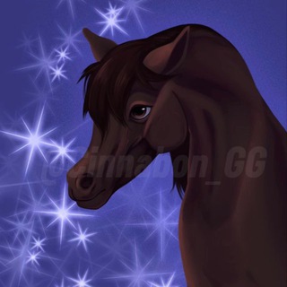 Horse Logan || Wild Horse Island - SHOP