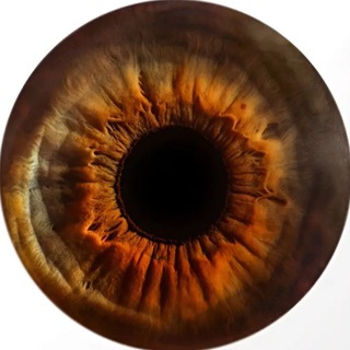 виртовский авы