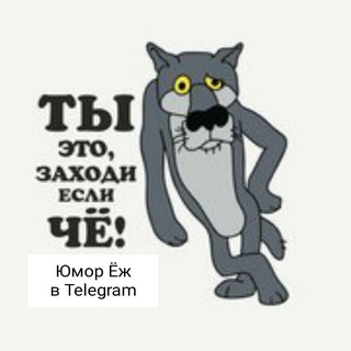 Юмор Ёж 🦔