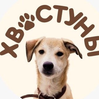 ХвОстуны. Дом счастливых собачек.