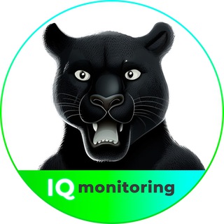 IQmonitoring🐾