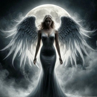 Берлога Штейна S&A