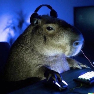 Пишу про музыку