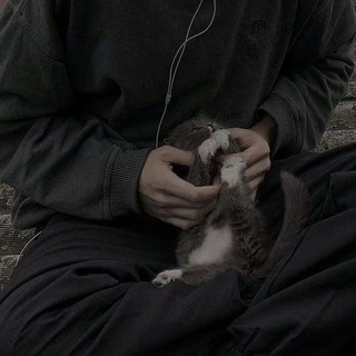 𝙸𝚋𝚗.𝚖𝚞𝚑𝚊𝚖𝚖𝚊𝚍.