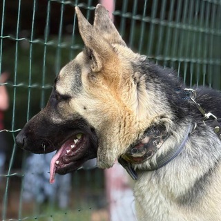 ✨Кубик льда 🧊