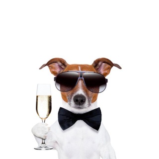 Игорь Плюшкин