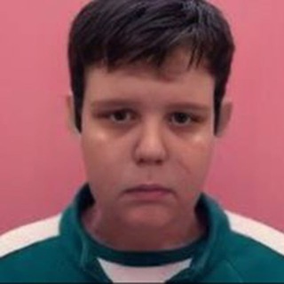 Скибиди Автоломния