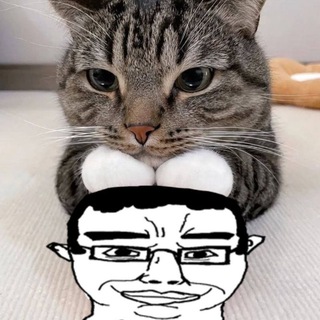 Инцeлоэстетика