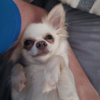 JR5's Cooks🧑‍🍳💸