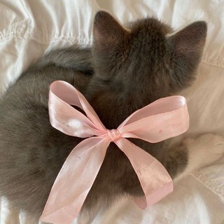 家 дорогой дом