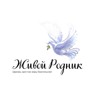 Церковь "Живой Родник" г. Москва