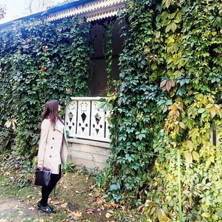 Экотерапия души 🌱