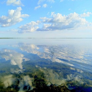 Глэмпинг "Джунгли Протоки"