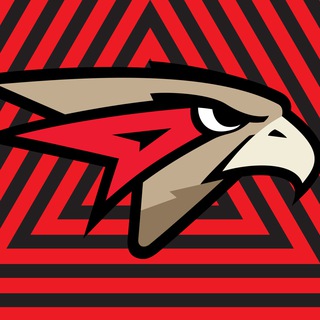 Вперёд, наш Омский «Авангард»!