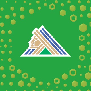 Вперёд, наш «Салават Юлаев»!