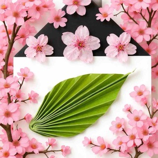 KSwooD модульные дома и бани