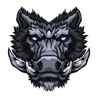 КАБАНЫ I КРИПТА I АИРДРОПЫ