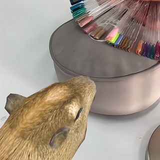 Capibara.nails💖