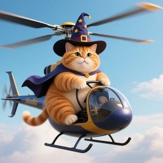 Карма, кот и котлеты