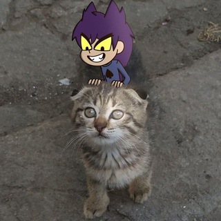 Жоские клоны