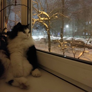 Пенис лайф/Убежище Китеса #FREEDUROV