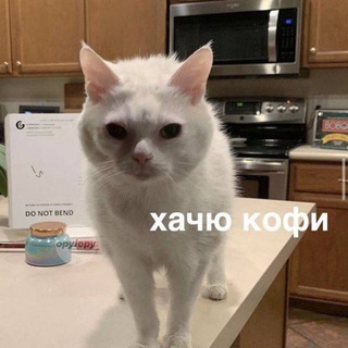 Шерстяной уголок