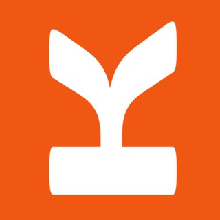 Кикшеринг|Электросамокаты