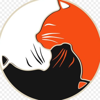 😻 Киска Топ