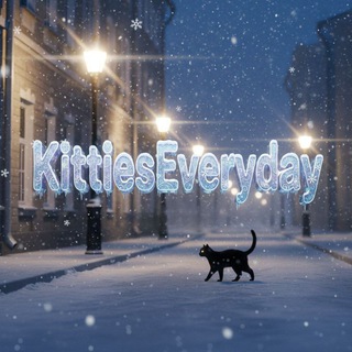 Cat Everyday ❄