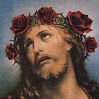 Змеиное царство🐍