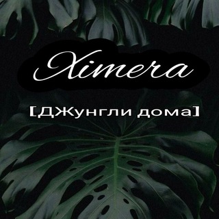 𝕏𝕚𝕞𝕖𝕣𝕒 【ДЖунгли дома】