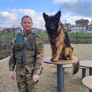 Константин Кинолог Анапа- Новосибирск. Амуниция и дрессировка