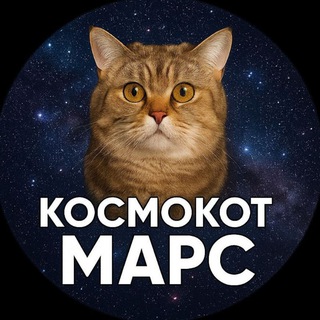 КосмоКот 😺 - Марс 🐾