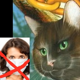 Кот-Баюн целебный и сказочный