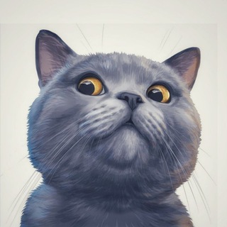 Котики & Co - пушистый позитив 😺🐾