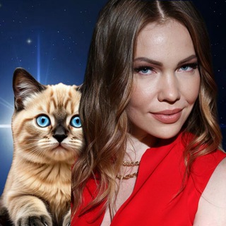 "КотоСириус. ✨Мурчание Подсознания"🐾