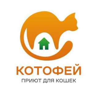 Приют для бездомных кошек «Котофей»
