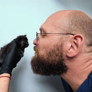 Дерматолог на всю голову 🐱🐶❤️