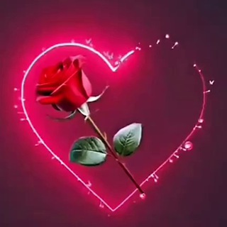 Красивые видео 🌹❤️| сердечки | розы | цветы |💘| любовь | картинки 💋