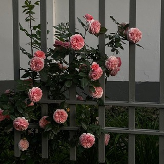 Красивые видео для твоих сторис