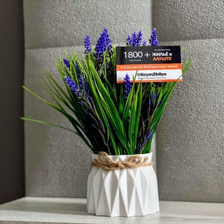 КРЫМ ЖИЛЬË и ОТДЫХ