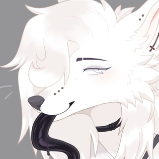 🕸️ куми куми