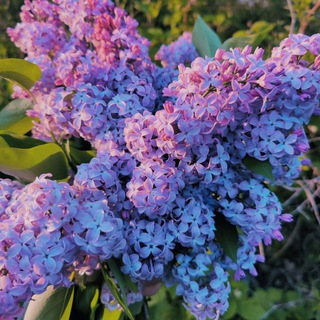 Обогащай душу