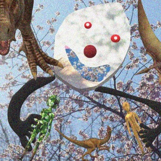 Дефект Кулешова