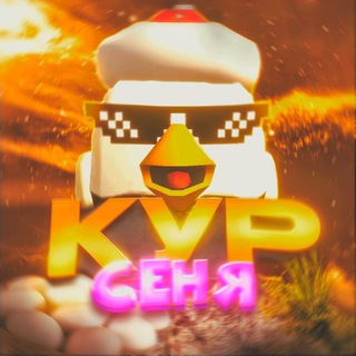Кур Кур Сеня 2
