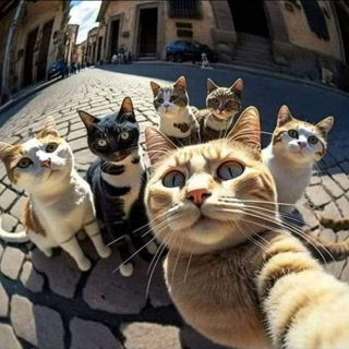 Живой мир 🐾