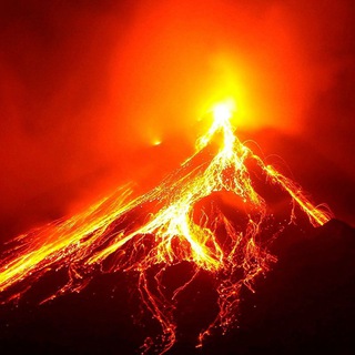 ЛИФОП | Природа | Интересные факты